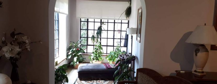 48967422_997015157152369_5537932089887817728_n