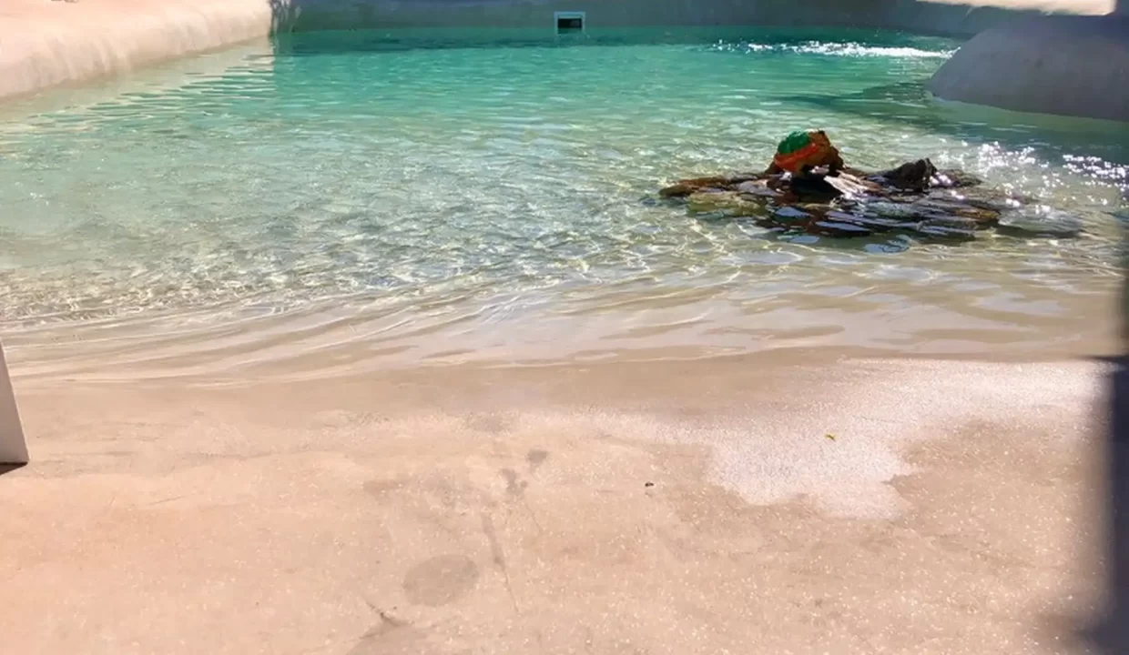 0e4e88f9-027b-4c72-b101-6550a9b30b10_u_large