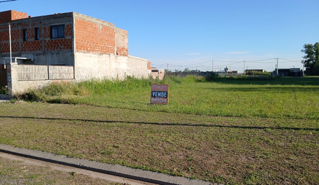 WhatsApp Image 2025-11-18 at 6.09.04 PM