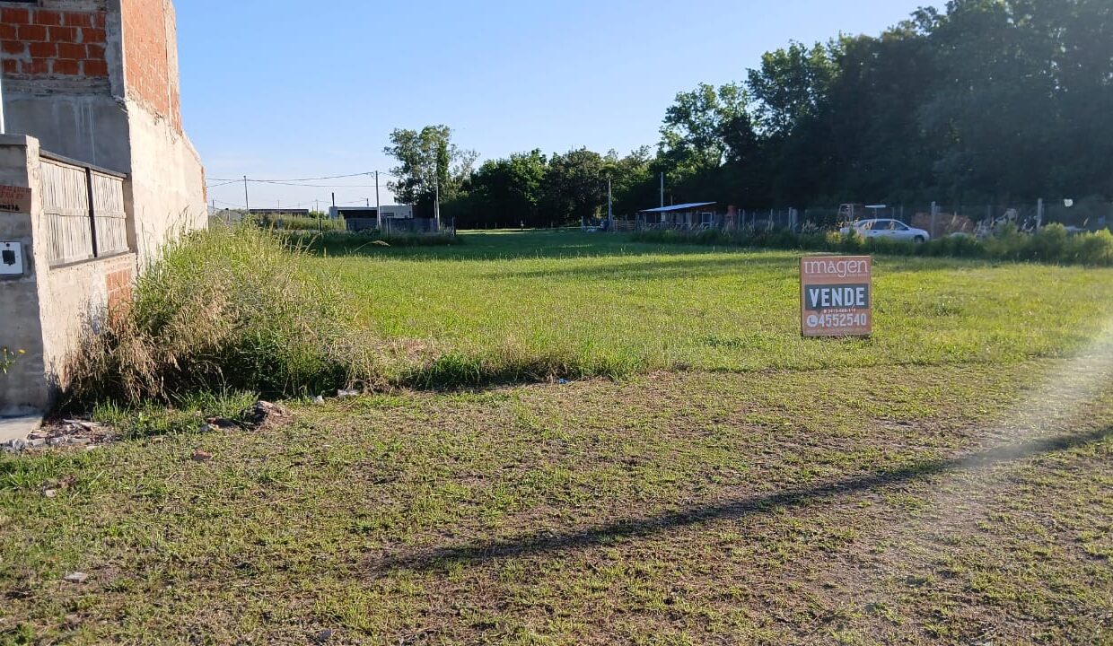 WhatsApp Image 2025-11-18 at 6.09.29 PM